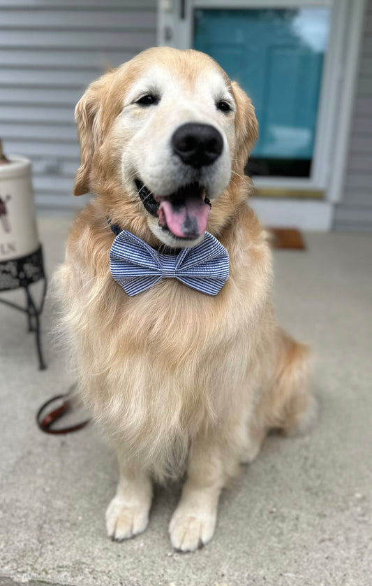 Blue Seersucker Bow tie