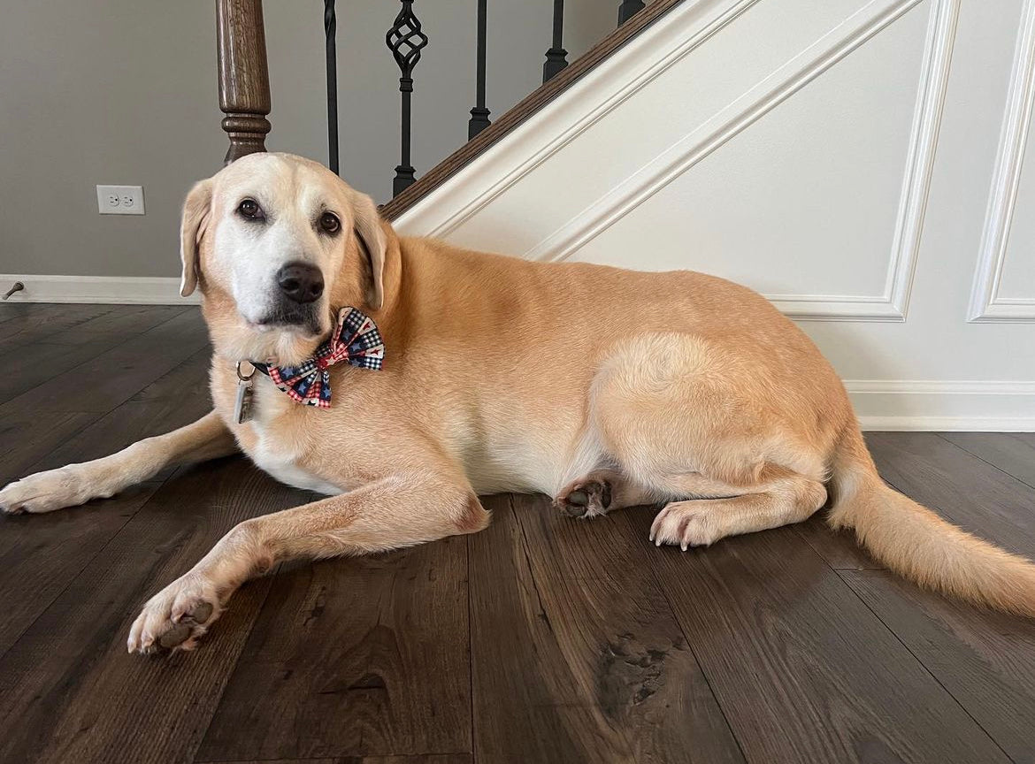 Patriotic Plaid Bow tie