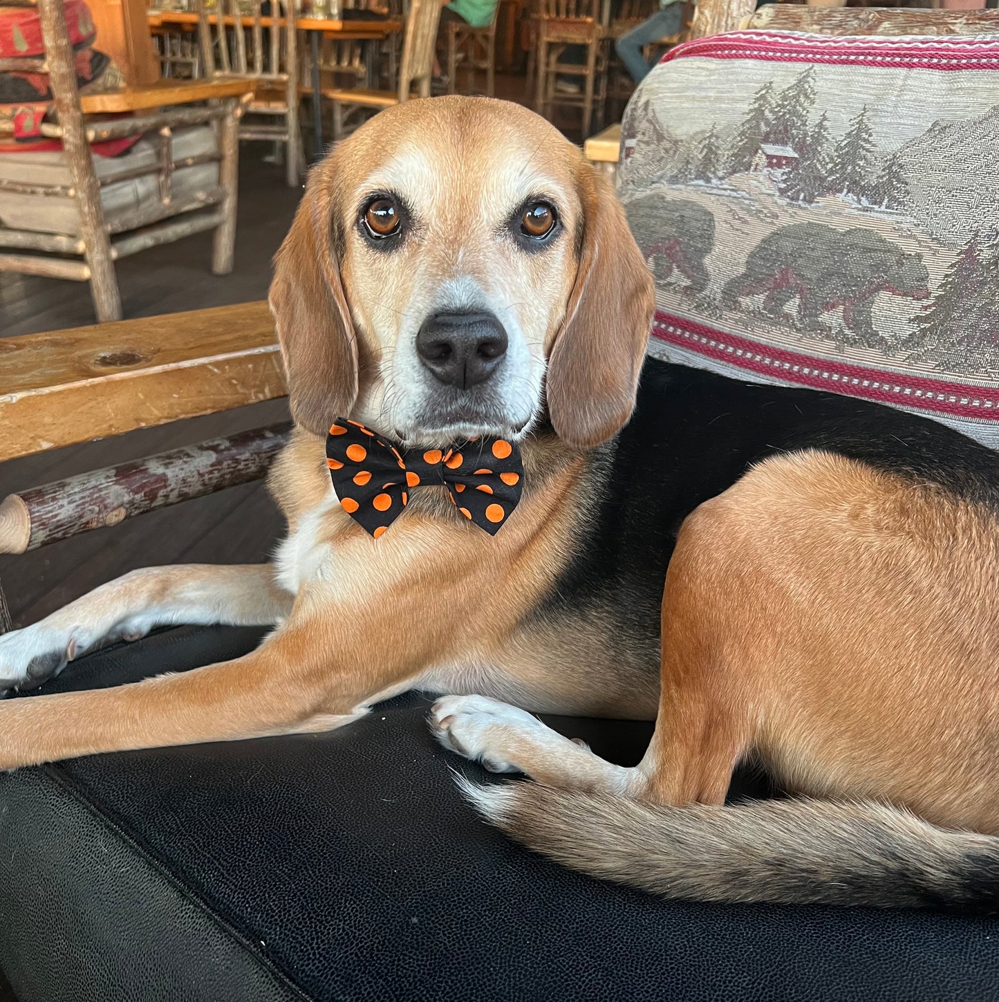 Spooky Spots Bow tie