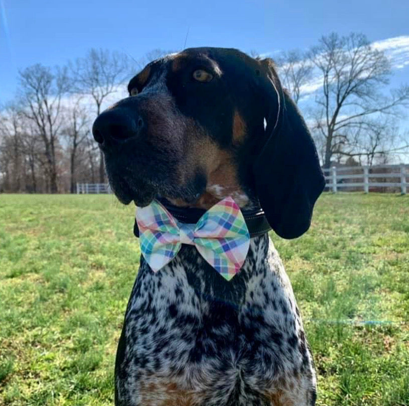 Easter Plaid Bow tie