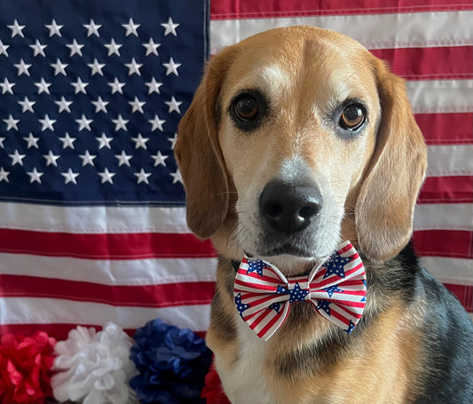 Star Spangled Bow tie