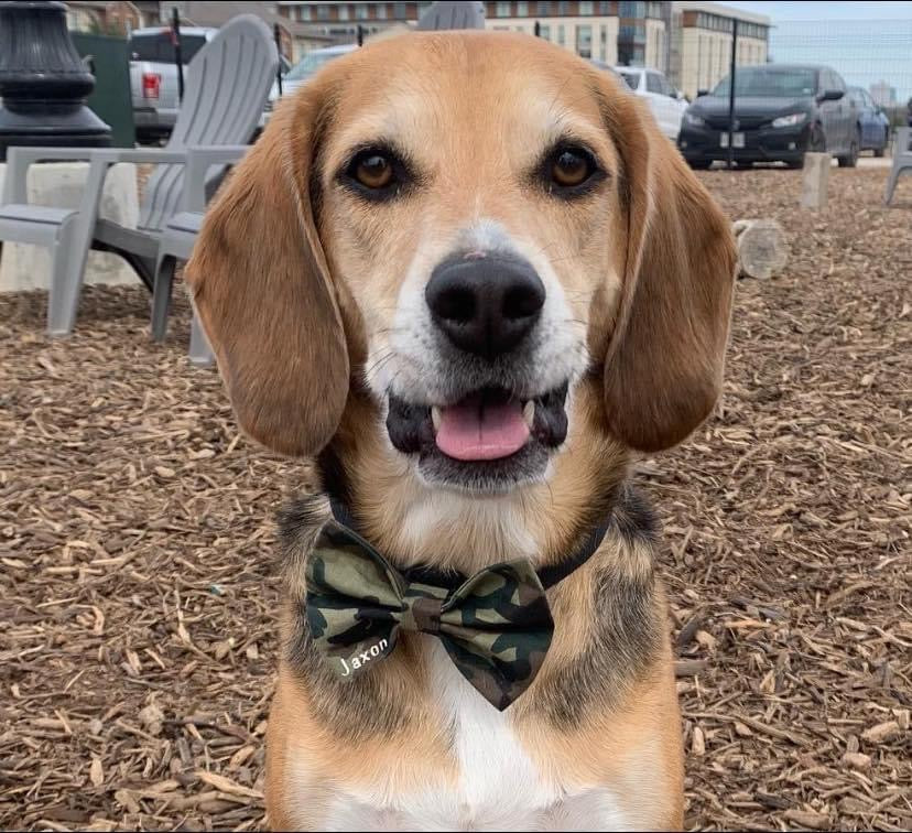 Camouflage Bow tie