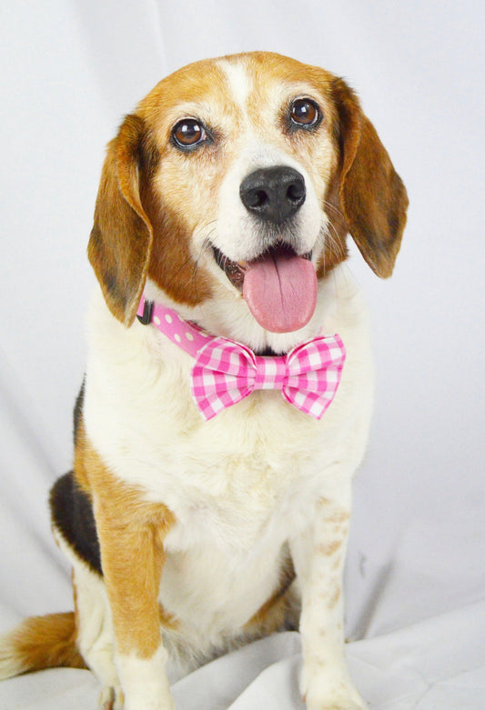 Pink Gingham Bow tie