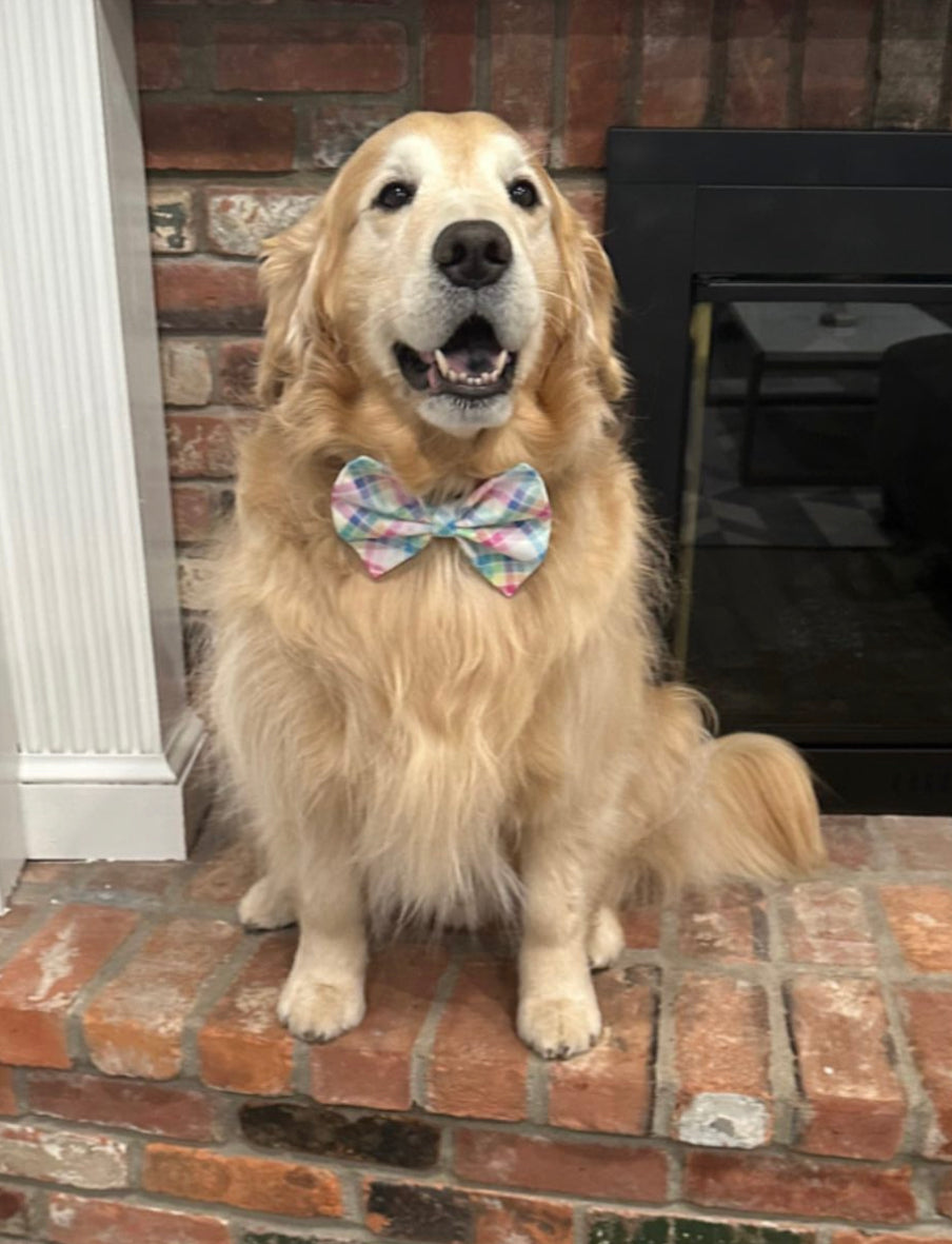 Easter Plaid Bow tie