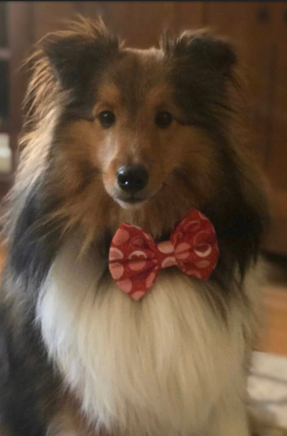 All My Heart Bow tie