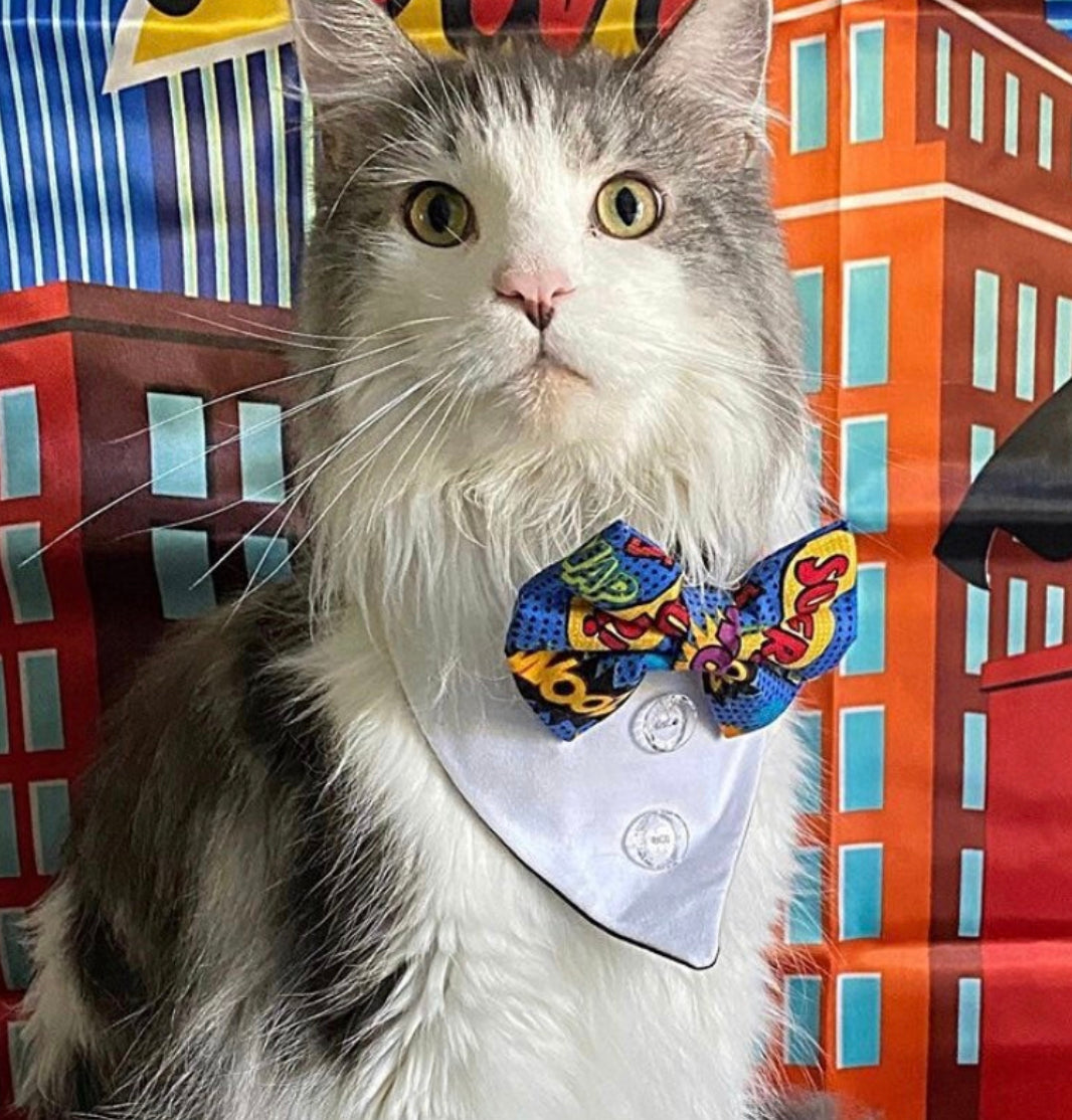 Superhero Bow tie