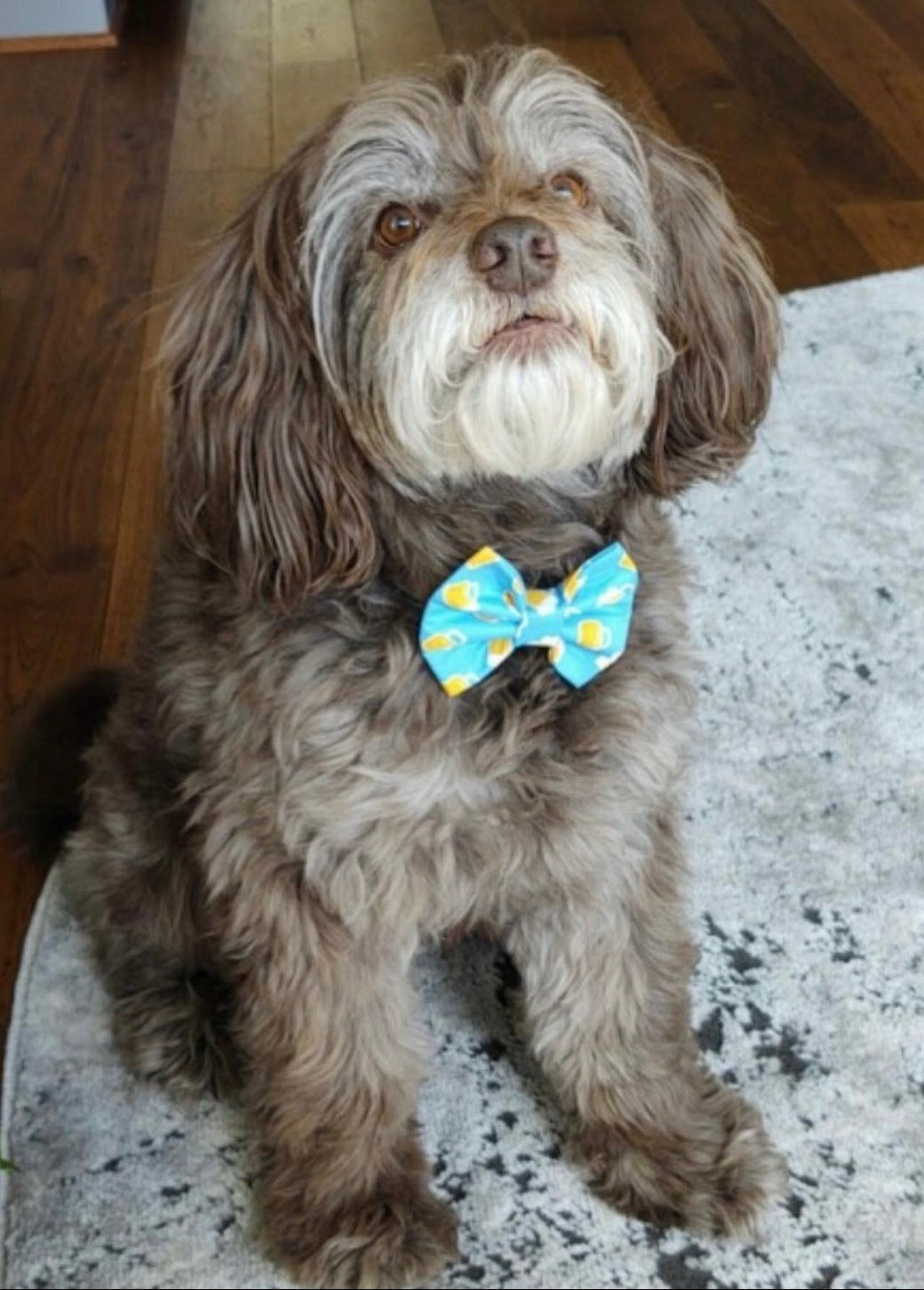 Cheers to Beer Bow tie