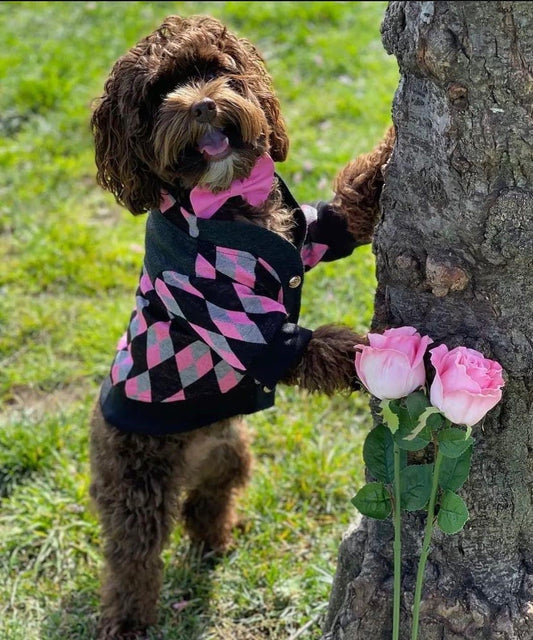 Pink Bow tie