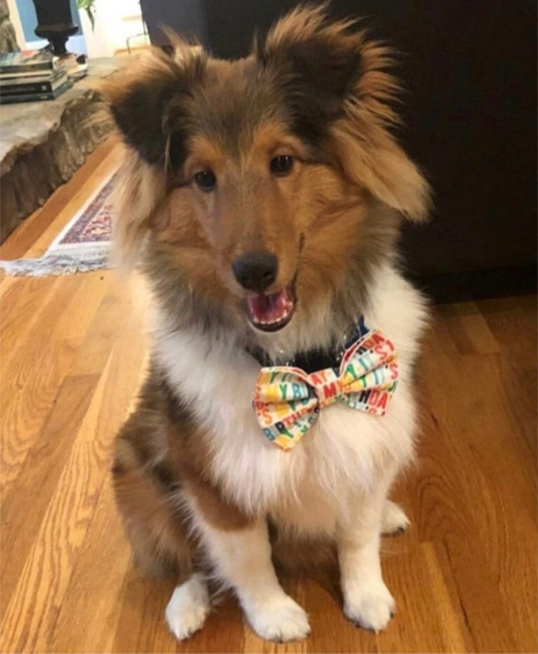 It’s My Birthday Bow tie