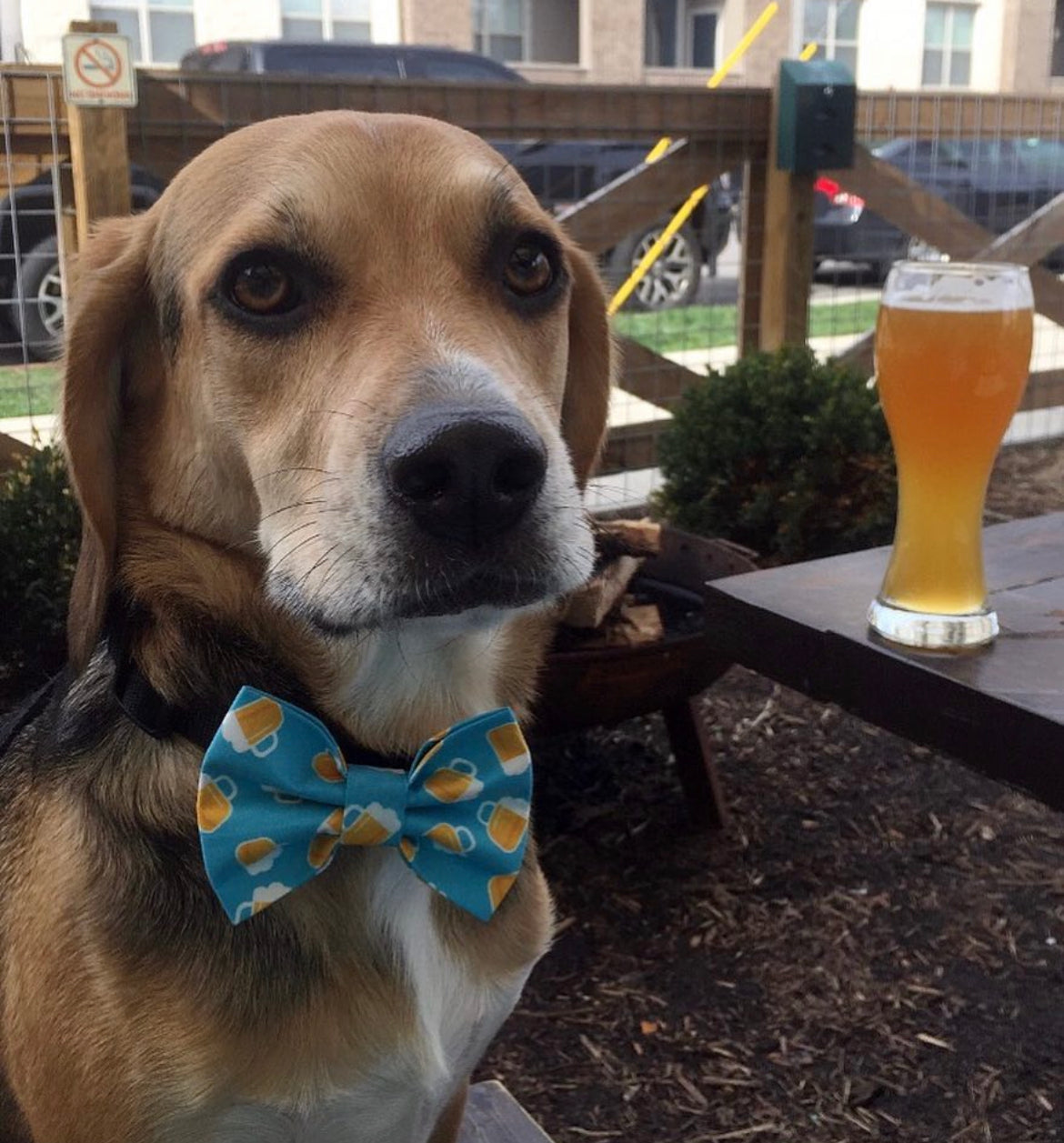 Cheers to Beer Bow tie