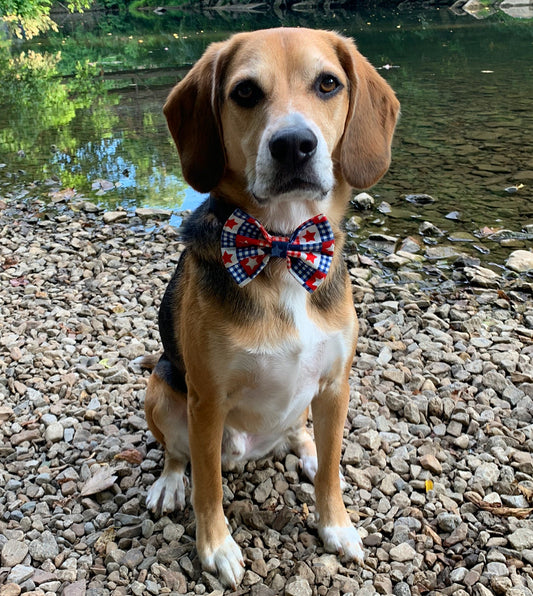 Patriotic Plaid Bow tie