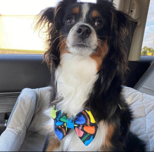 Guitars Bow tie