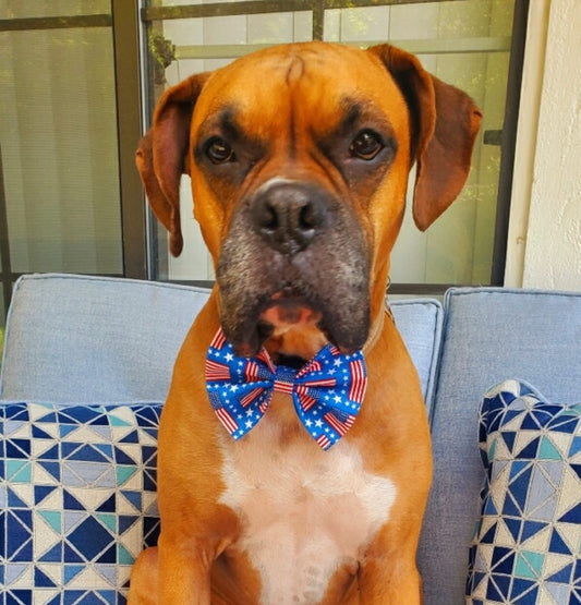 American Flag Bow tie