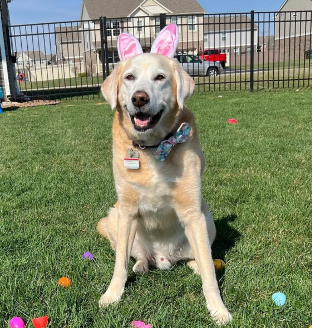 Easter Plaid Bow tie