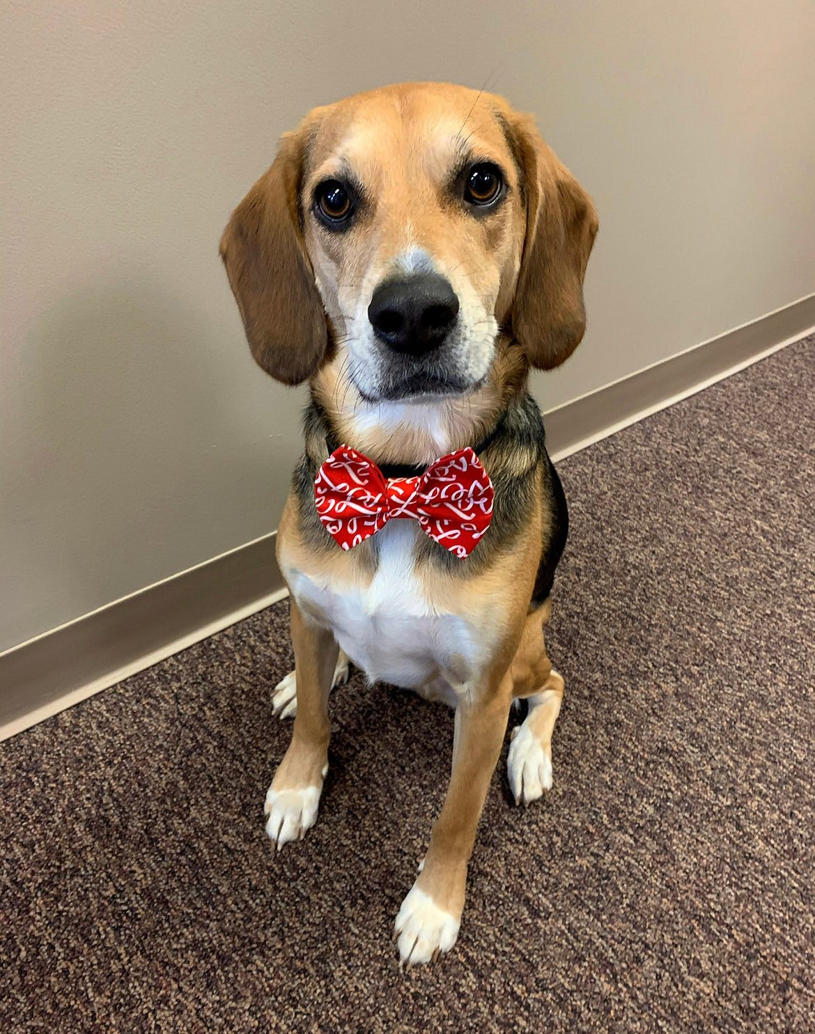 All the Love Bow tie