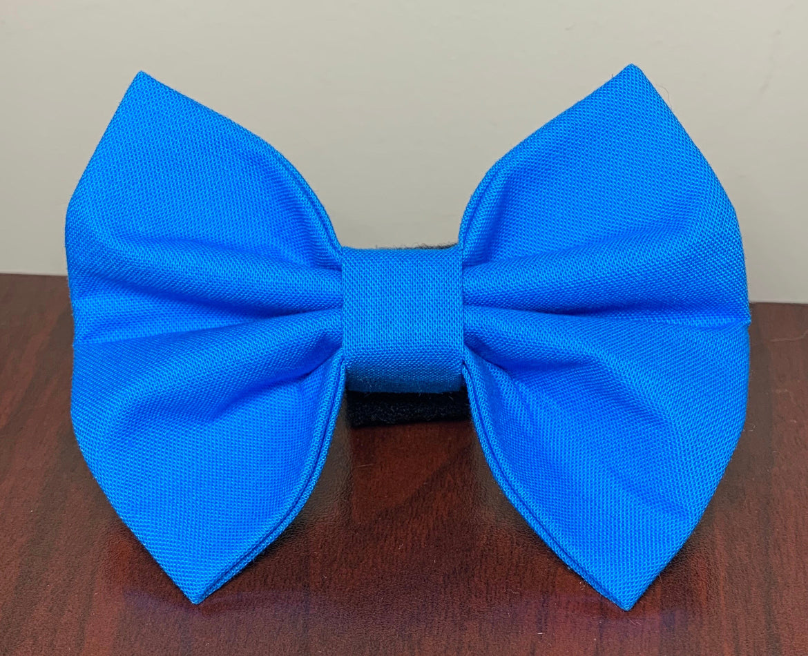 Royal Blue Bow tie