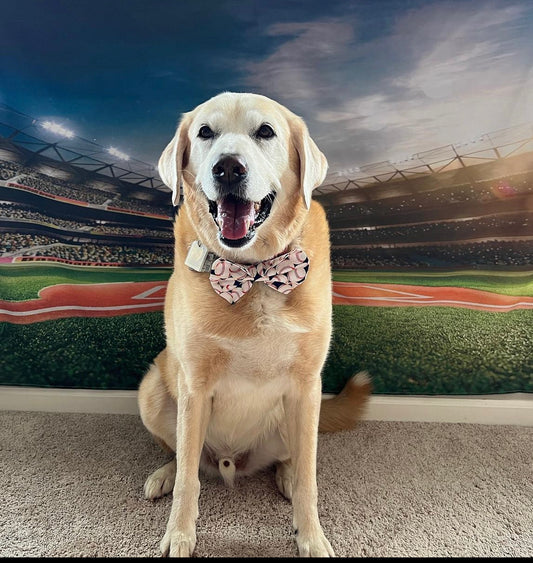 Baseball Bow tie