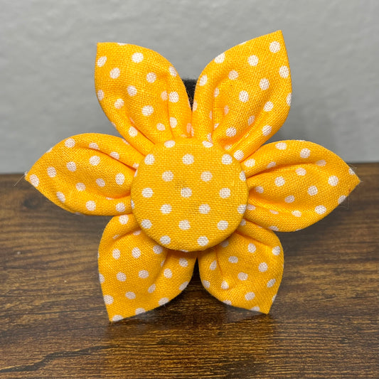 Pastel Orange Flower