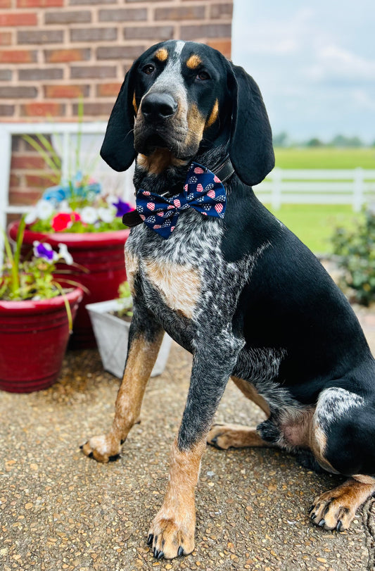 Patriotic Sunglasses Bow tie