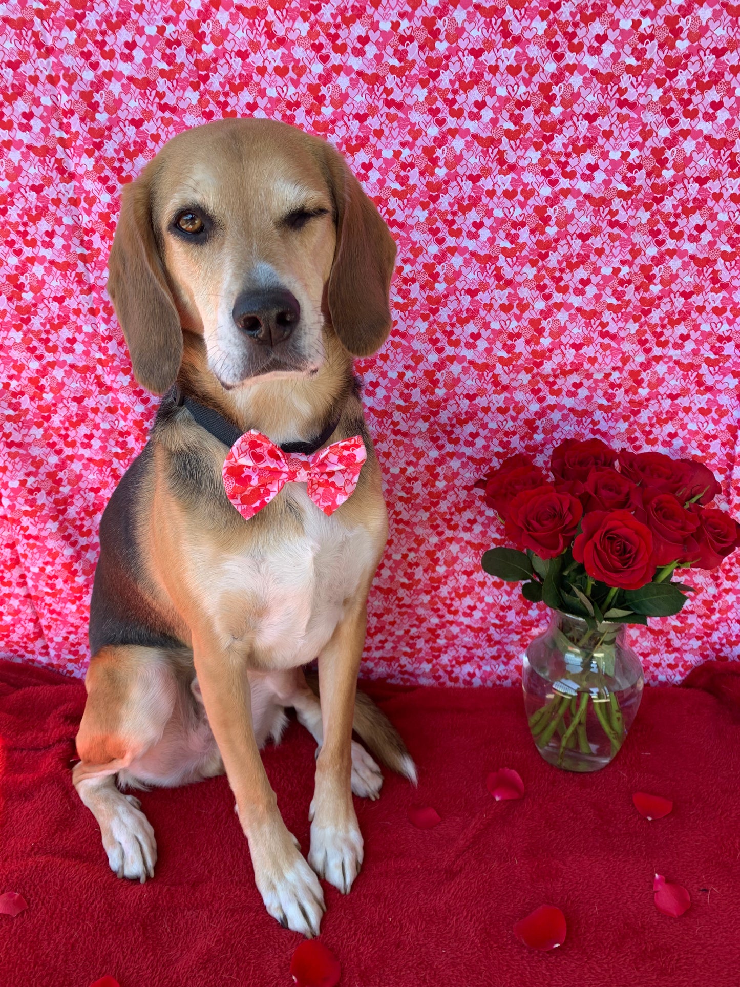 Scarlett’s Heart Bow tie