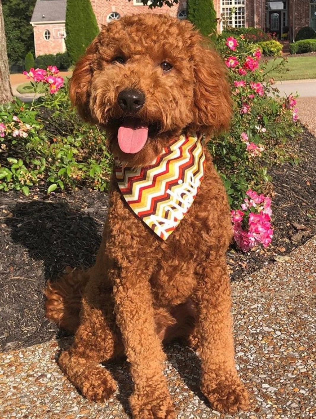 Fall Chevron Bow tie