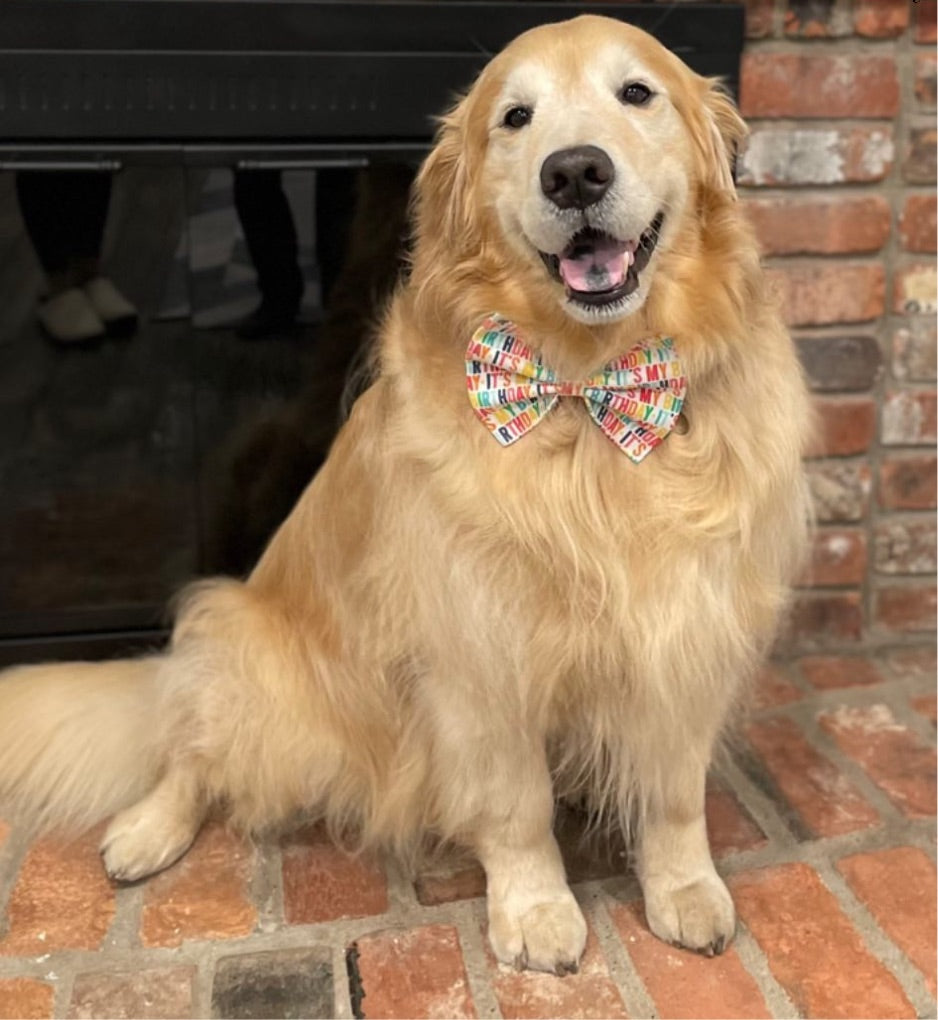 It’s My Birthday Bow tie