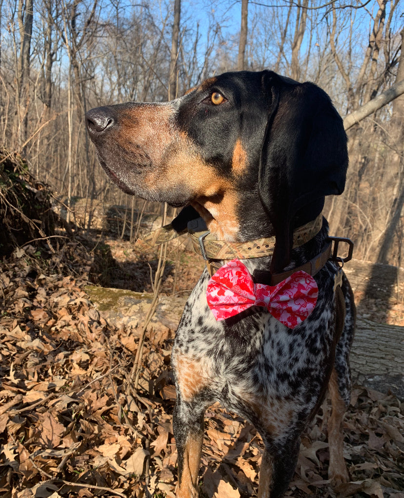 Scarlett’s Heart Bow tie