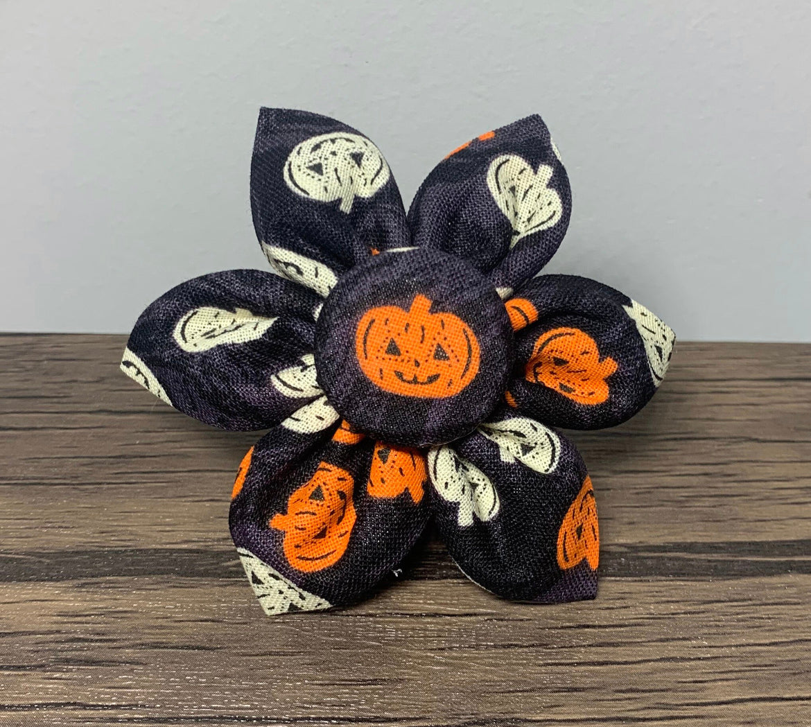 Jack-O-Lantern Flower