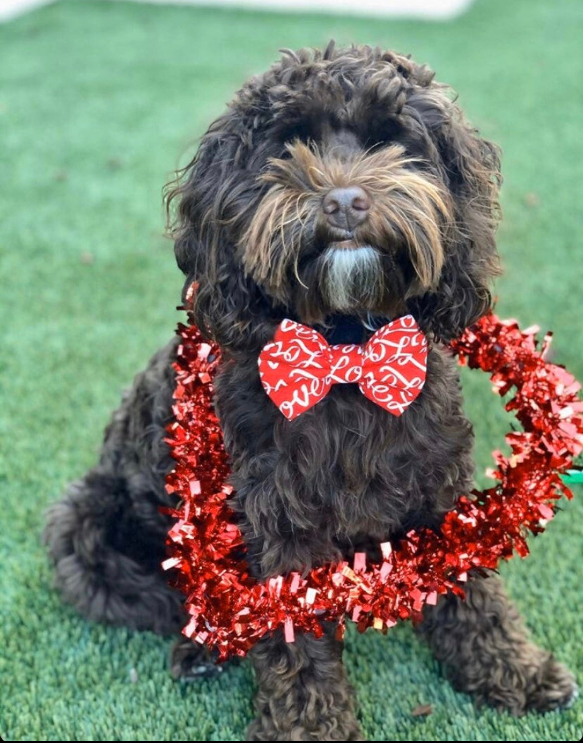 All the Love Bow tie