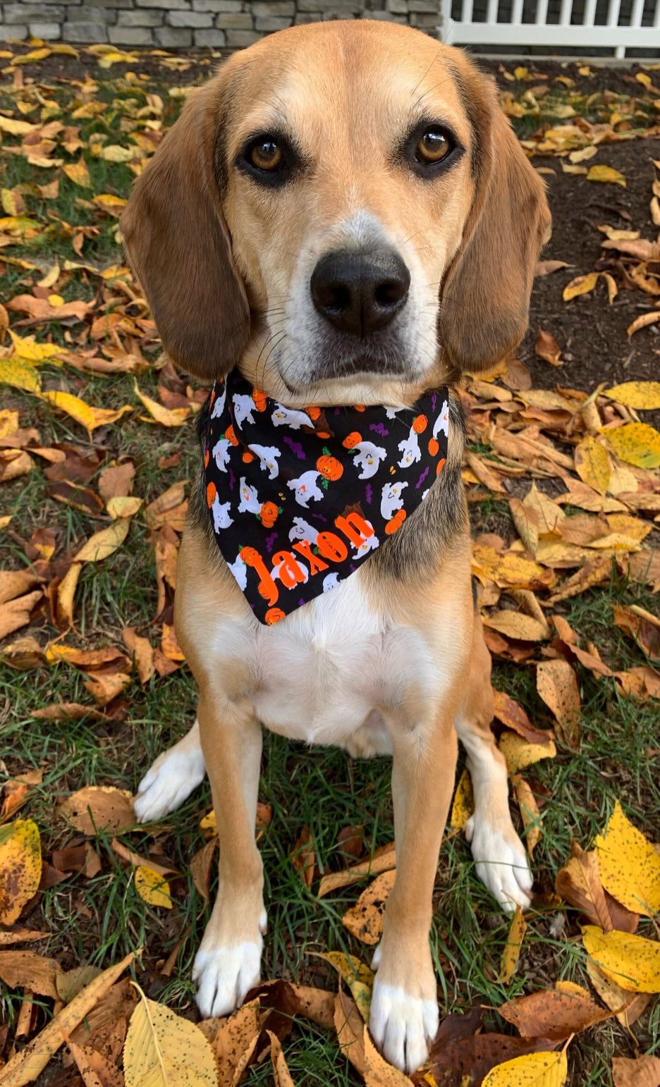 Friendly Ghost Bow tie