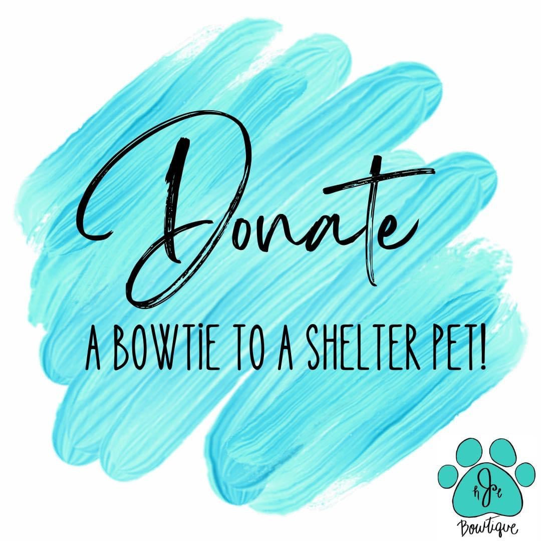 Donate to a Shelter Pet!