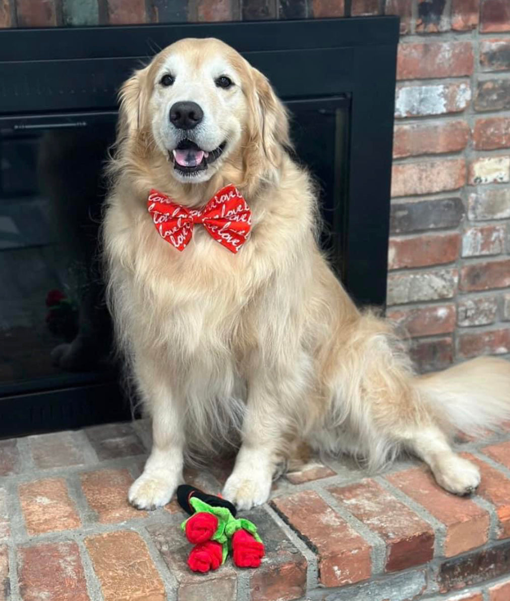 All the Love Bow tie